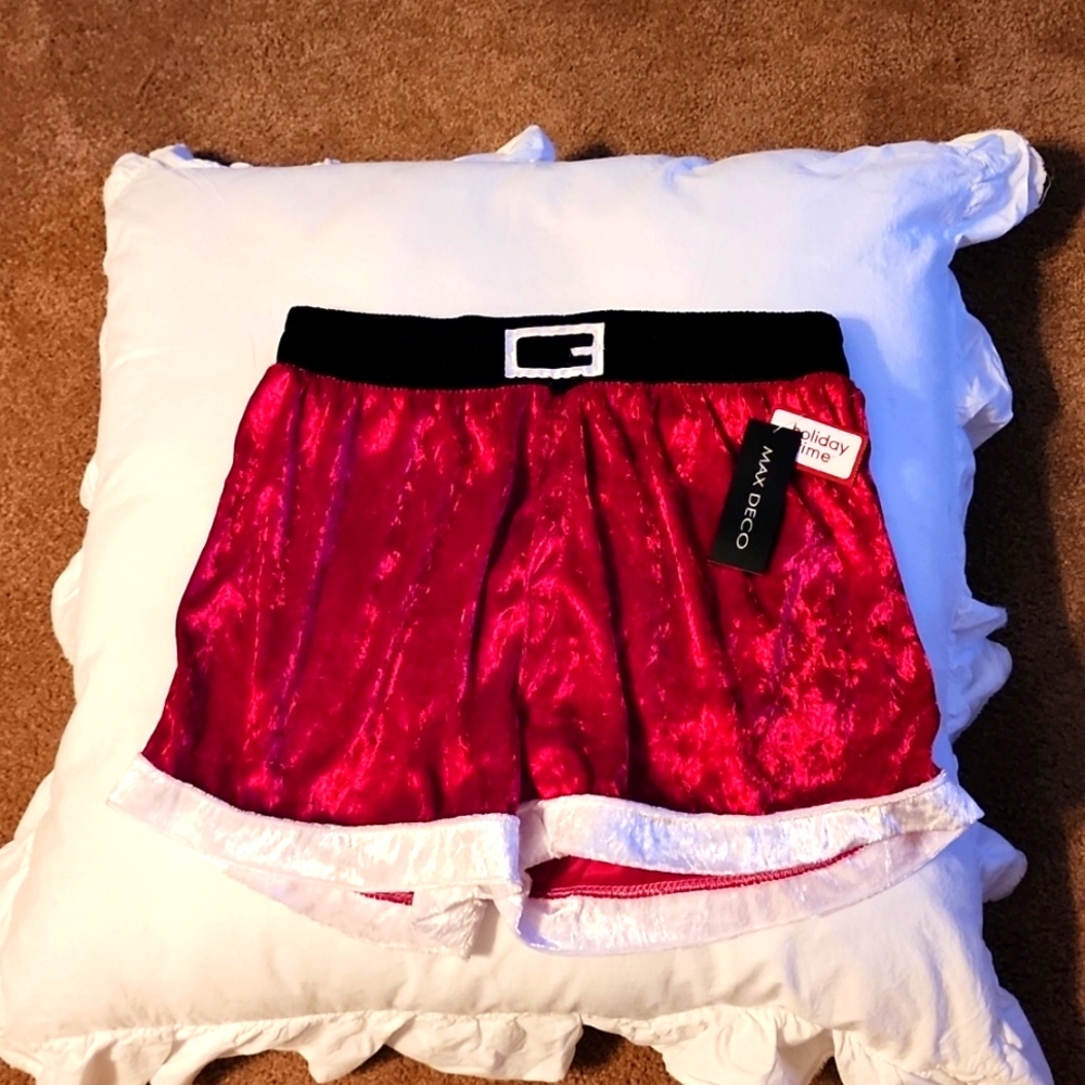 Holiday Santa Boxer